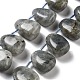 Natural Labradorite Beads Strands(G-P528-E10-01)-1