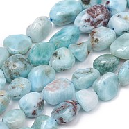 Natural Larimar Beads Strands, Nuggets, Tumbled Stone, 8~10x8~9x5.5~6mm, Hole: 0.5mm, about 43pcs/strand, 15.55 inch(39.5cm)(X-G-L493-37)
