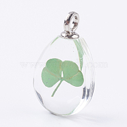 Glass Dried Flower Pendants, with Brass Findings, Oval, Platinum, Light Green, 30x18x11mm, Hole: 3.5mm(GLAA-K018-C)