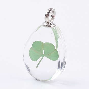 Glass Dried Flower Pendants, with Brass Findings, Oval, Platinum, Light Green, 30x18x11mm, Hole: 3.5mm