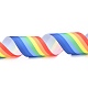Rainbow Polyester Ribbon(OCOR-G008-02)-3