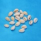 Natural Cowrie Shell Beads(X-BSHE-S055)-1