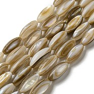 Natural Freshwater Shell Beads Strands, Rice, Dark Goldenrod, 10~10.5x4~4.5mm, Hole: 0.9mm, about 34~35pcs/strand, 13.98~14.57 inch(35.5~37cm)(SHEL-C005-04)