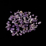 Natural Amethyst Chip Beads, No Hole/Undrilled, 2~12x2~10x1~3mm, about 11200pcs/1000g(G-M364-12A)