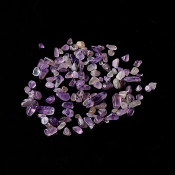 Natural Amethyst Chip Beads, No Hole/Undrilled, 2~12x2~10x1~3mm, about 11200pcs/1000g