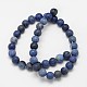 Frosted Round Natural Grade AA Sodalite Beads Strands(G-N0166-68-4mm)-3