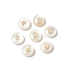 Natural Freshwater Shell Flat Round Beads, with Golden Tone Brass Slices, Seashell Color, Turtle, 8x3.5mm, Hole: 0.9mm(SHEL-C009-01A)