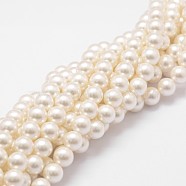 Shell Pearl Bead Strands, Grade A, Round, Floral White, 10mm, Hole: 1mm, about 41pcs/strand, 16 inch(X-BSHE-L026-03-10mm)