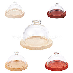 5 Sets 5 Style Top Knob Glass Dome Cover, Cloche Bell Jar Terrarium with Wood Base, Arch, Mixed Color, 30~50x21.5~39mm, Inner Diameter: 22~36mm, 1 set/style(AJEW-DR0001-05)