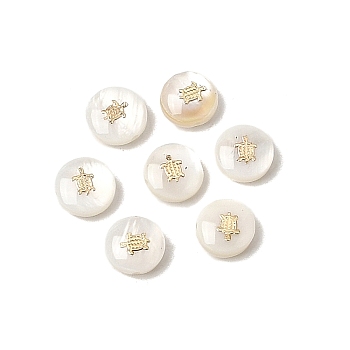 Natural Freshwater Shell Flat Round Beads, with Golden Tone Brass Slices, Seashell Color, Turtle, 8x3.5mm, Hole: 0.9mm