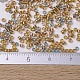 MIYUKI Delica Beads(X-SEED-J020-DB0981)-4