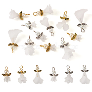 Pandahall 30Pcs 6 Styles Angel Frosted Acrylic Pendants, with Glass Pearl Beads and Tibetan Style Alloy Wing Beads, Antique Silver & Antique Golden, 23~35x14~18x6~17mm, Hole: 3~3.5mm,  5pcs/style(FIND-TA0002-86)