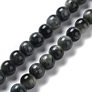 Natura Hawk's Eye Beads Strands, Eagle Eye Stone, Round, 8mm, Hole: 1mm, about 51pcs/Strand, 15.75 inch(40 cm)(G-D0001-22B-8mm-01)