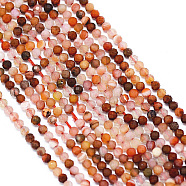 Natural Carnelian Bead Strands, Faceted, Round, 2.5x2mm, Hole: 0.5mm, about 155pcs/strand, 12.9 inch~13.1 inch(330~335mm)(G-G914-2mm-29)