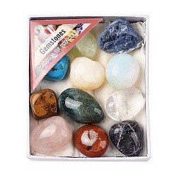 Nuggets Natural & Synthetic Mixed Gemstone Tumbled Polished Stones Collections, for Earth Science Teaching, 22~35x14~27x13~22mm(AJEW-Q152-04)