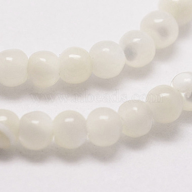 Natural White Shell Beads(G-N0190-11-2mm)-3