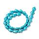 Dyed Synthetic Turquoise Beads Strands(G-M152-10-A)-1