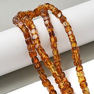 Natural Amber Beads Strands, Cube, Camel, 6~7x6~7x6~7mm, Hole: 1mm, about 66pcs/strand, 15.55''(39.5cm)(G-K387-E01-01)