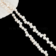 1 Strand Natural Cultured Freshwater Pearl Beads Strands, Baroque Keshi Pearls, Two Sides Polished, Seashell Color, 5~6x5.5~8.5x3.5~5.5mm, Hole: 0.7mm, about 73~77pcs/strand, 13.78 inch~13.90 inch(35~35.3cm)(PEAR-NB0002-11)