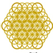 Self Adhesive Brass Stickers, Scrapbooking Stickers, for Epoxy Resin Crafts, Flower of Life Pattern, 36x0.3mm(DIY-WH0164-C08-G)