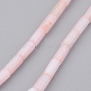 Natural Shell Bead Strands, Dyed, Column, Misty Rose, 8x4mm, Hole: 0.5mm, about 50pcs/strand, 15.7 inch(BSHE-P016-02)