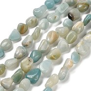 Natural Flower Amazonite Beads Strands, Nuggets, Tumbled Stone, 7~13x4.5~10x4.5~10mm, Hole: 1.2mm, about 44~46pcs/strand, 15.08''~16.14''(38.3~41cm)(G-P497-01E-31)