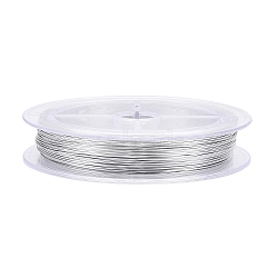 Aluminum Round Wire, with Spool, Platinum, 0.58mm, 24 Gauge, about 98.43 Feet(30m)/Roll(AW-T001-01)