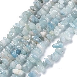 Natural Aquamarine Beads Strands, Chip, 3~16x3~8mm, Hole: 0.7mm, 32.28''(82cm)(G-G011-10)
