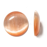 Cat Eye Glass Cabochons, Half Round/Dome, Coral, about 16mm in diameter, 3mm thick(CE071-16-11)