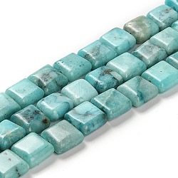 Natural Dolomite Beads Strands, Dyed, Sqaure, Turquoise, 10x10x4.5mm, Hole: 1.4mm, about 40pcs/strand, 15.55 inch(39.5cm)(G-F765-C04-01)