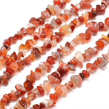 Brins de perles d'agate rouge du sud naturelle, 5~8x5~8 mm, trou: 1 mm, environ 31.5 pouce