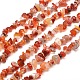 Natural South Red Agate Chips Bead Strands(G-M205-40)-1