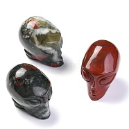 Natural Bloodstone, Heliotrope Stone Display Decorations, for Halloween, Skull, 43~45x51~58x35~38mm(G-M368-11A)