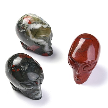 Natural Bloodstone, Heliotrope Stone Display Decorations, for Halloween, Skull, 43~45x51~58x35~38mm
