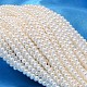 Round Shell Pearl Bead Strands(X-BSHE-L011-3mm-A013)-1