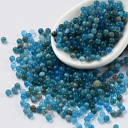 Natural Apatite Beads, No Hole/Undrilled, Round, 1.5mm(G-Z016-06A)
