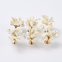 Natural White Shell Mother of Pearl Shell Chips Display Decorations, with Golden Plated Brass Wires, Lucky Tree, 24~27x32~41x33~42mm(G-Z016-13A)