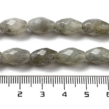 Natural Labradorite Beads Strands(G-P520-C08-01)-5