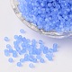 8/0 Frosted Round Glass Seed Beads(X-SEED-A008-3mm-M6)-1