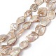 AB Color Plated Natural Freshwater Shell Beads Strands(BSHE-G033-03B)-1