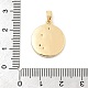 Rack Plating Brass Rhinestone Pendants(KK-S407-05G-A)-3