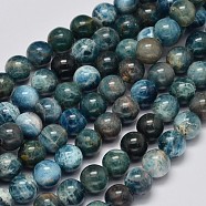 Round Natural Apatite Beads Strands, Grade AB, 8mm, Hole: 1mm, about 51pcs/strand, 15.7 inch(G-K068-02-8mm)