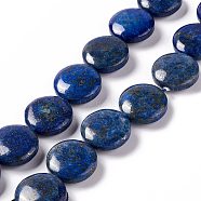 Natural Lapis Lazuli Beads Strands, Dyed, Flat Round, 19.5~20.5x7~8mm, Hole: 1mm, about 20pcs/strand, 15.55''~15.98''(39.5~40.6cm)(G375-28)