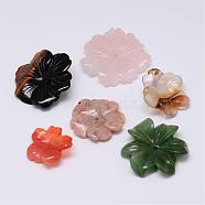 Mixed Natural Gemstone Beads, Flower, 20.5~33x6~8mm, Hole: 1.2~2mm(G-F385-52)