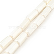 Electroplated Shell Pearl Beads Strands, Polished, Hexagonal Column, White, 15x7.5x6.5mm, Hole: 0.8mm, about 27pcs/strand, 15.94 inch(40.5cm)(BSHE-G027-08A)