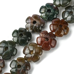 Natural Indian Agate Beads Strands, Flower, 14x14x5.5mm, Hole: 1.2mm, about 29pcs/strand, 14.80''(37.6cm)(G-H023-B06-01)