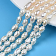Natural Cultured Freshwater Pearl Beads Strands, Rice, Seashell Color, 7.5~10.5x5~6mm, Hole: 0.7mm, about 20~21pcs/strand, 6.85 inch~7.09 inch(17.4cm~18cm)(PEAR-N012-05D)
