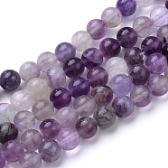 Natural Fluorite Beads Strands, Round, Purple, 10~10.5mm, Hole: 1.2mm, about 37~40pcs/strand, 14.9~15.1 inch(38~38.5cm)(G-T055-10mm-14)
