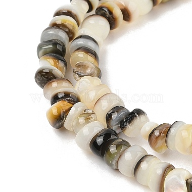 Natural Black Lip Shell Beads Strands(SHER-R100-02A)-3