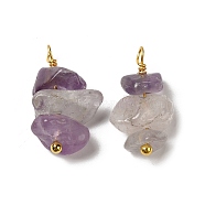 Natural Amethyst Pendants, Nuggets Charms with Real 18K Gold Plated Brass Loops, 13~19x7~13x5~7mm, Hole: 1.5~1.6mm(KK-P242-31G-10)